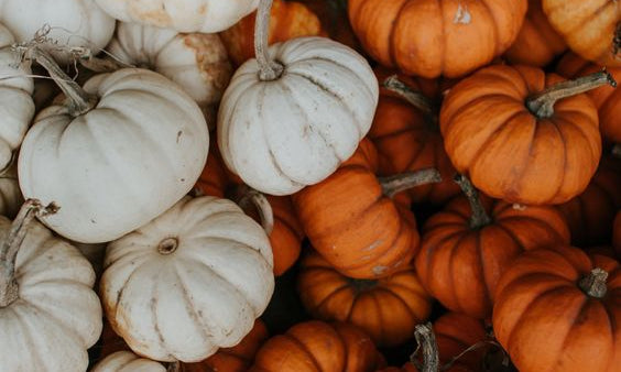 Cozy Fall Activities to Enjoy This Season