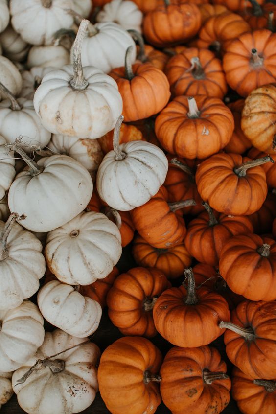 Cozy Fall Activities to Enjoy This Season